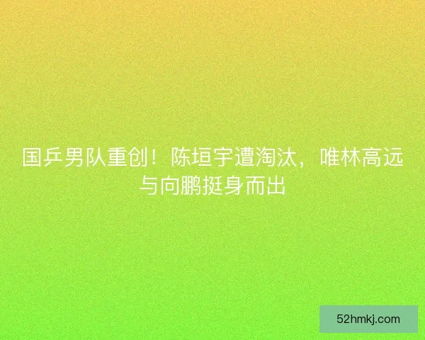 国乒男队重创！陈垣宇遭淘汰，唯林高远与向鹏挺身而出