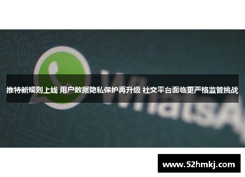 推特新规则上线 用户数据隐私保护再升级 社交平台面临更严格监管挑战