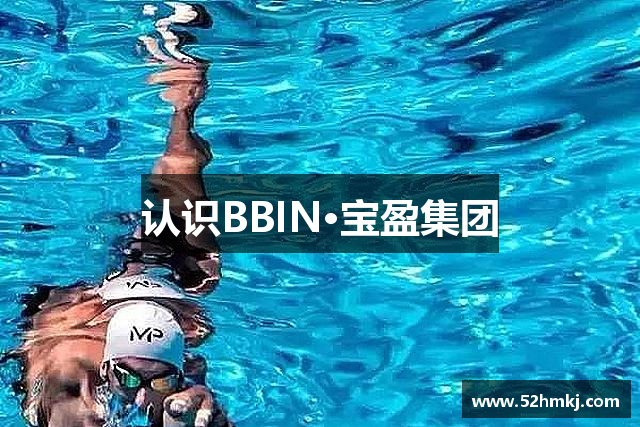 认识BBIN·宝盈集团